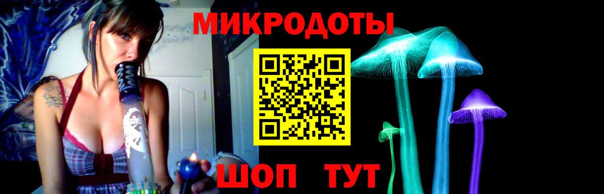 Балашиха  даркнет сайт  Псилоцибиновые грибы ЛСД  Вход с VPN  Галлюциногенные грибы мухоморы 